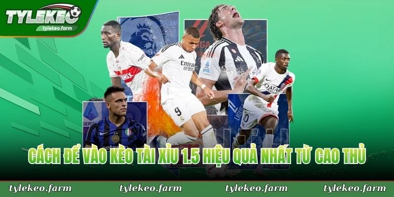 Cách để thực chiến hiệu quả nhờ thống kê khi soi kèo tài xỉu 1 3/4