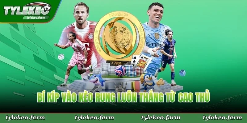 Bí kíp vào kèo rung luôn thắng từ cao thủ