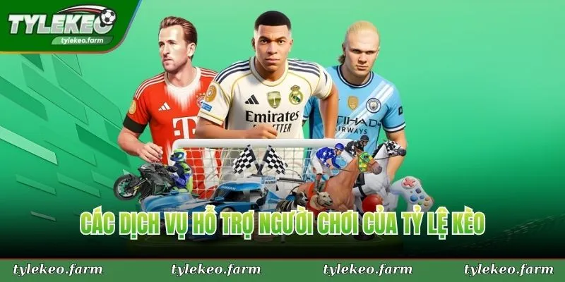 Các dịch vụ hỗ trợ người chơi của Tỷ Lệ Kèo
