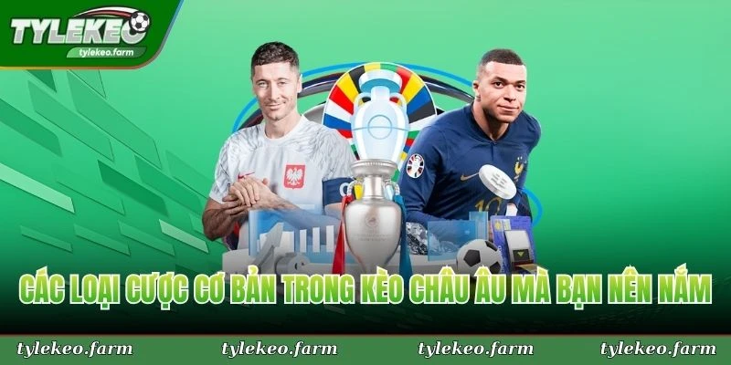 Các loại cược cơ bản trong kèo châu Âu mà bạn nên nắm