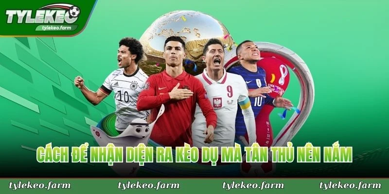 Cách để nhận diện ra kèo dụ mà tân thủ nên nắm