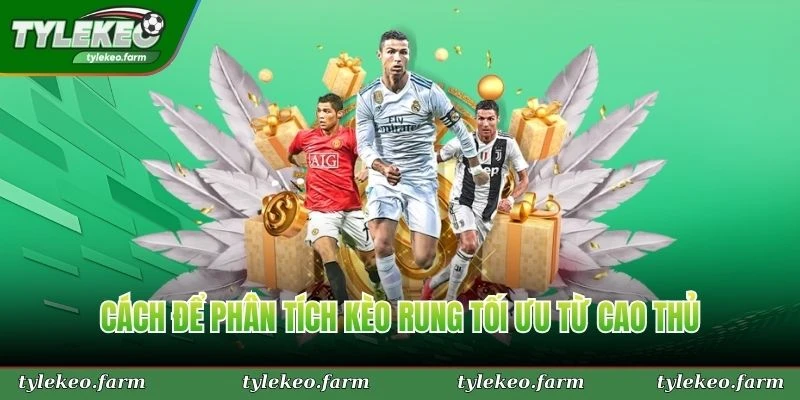 Cách để phân tích kèo rung tối ưu từ cao thủ