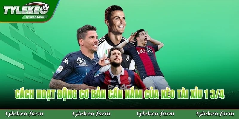 Cách hoạt động cơ bản cần nắm của kèo tài xỉu 1 3/4