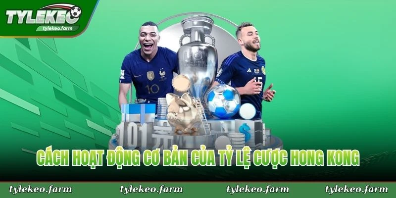 Cách hoạt động cơ bản của tỷ lệ cược hong kong