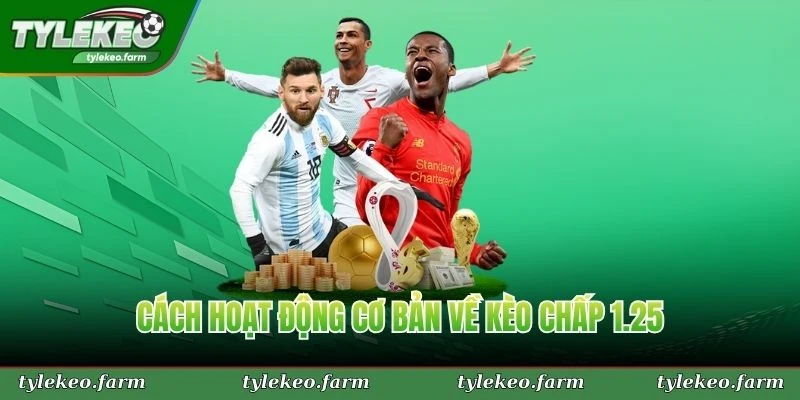 Cách hoạt động cơ bản về kèo chấp 1.25 mà tân thủ nên nắm
