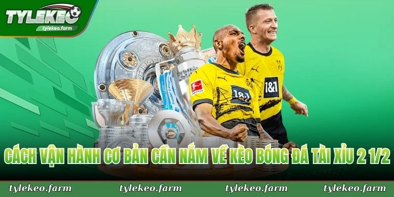 Cách vận hành cơ bản cần nắm về kèo bóng đá tài xỉu 2 1/2