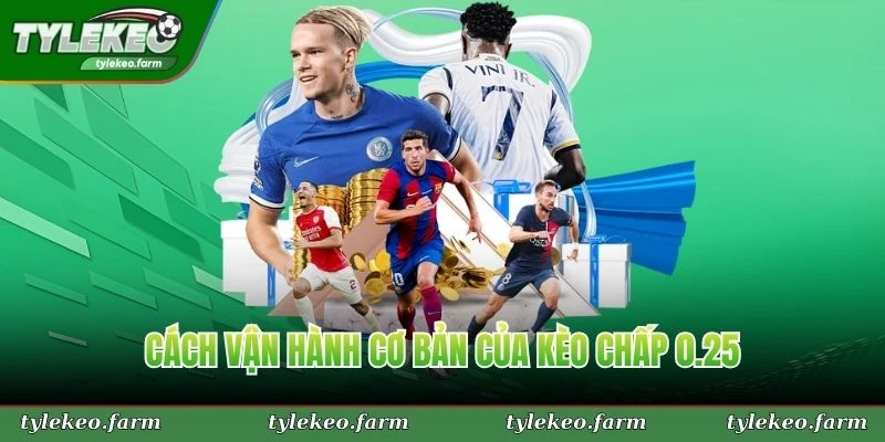 Cách vận hành cơ bản của kèo chấp 0.25