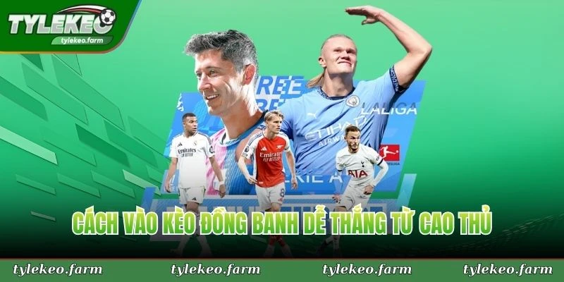 Cách vào kèo đồng banh dễ thắng từ cao thủ