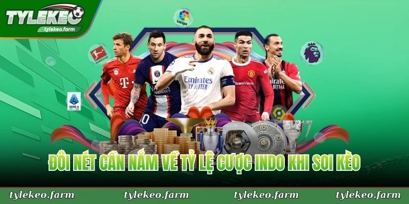Đôi nét cần nắm về tỷ lệ cược indo khi soi kèo