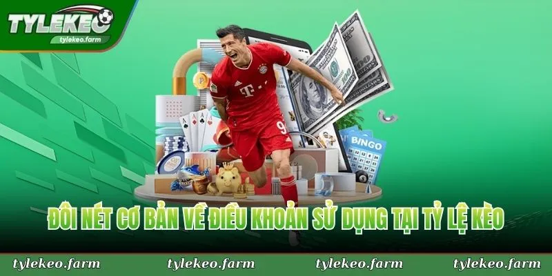 Đôi nét cơ bản về điều khoản sử dụng tại Tỷ Lệ Kèo