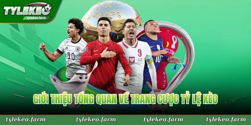 Giới thiệu tổng quan về trang cược Tỷ Lệ Kèo