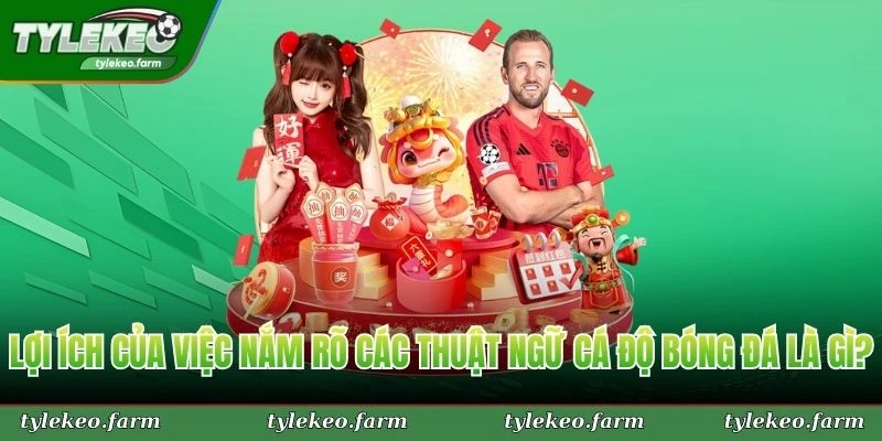 Lợi ích của việc nắm rõ các thuật ngữ cá độ bóng đá là gì?