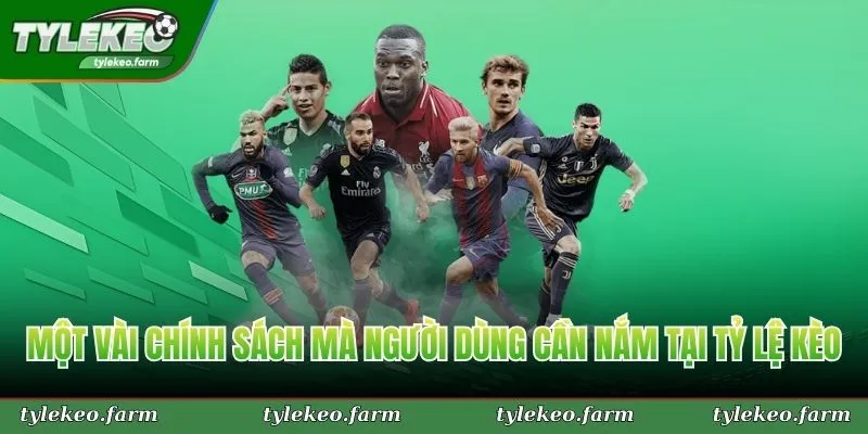 Một vài chính sách mà người dùng cần nắm tại Tỷ Lệ Kèo