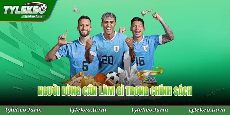 Người dùng cần làm gì trong chính sách miễn trừ trách nhiệm