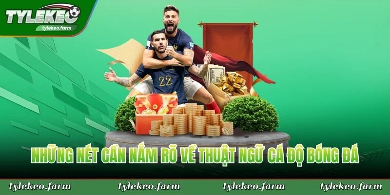 Những nét cần nắm rõ về thuật ngữ cá độ bóng đá