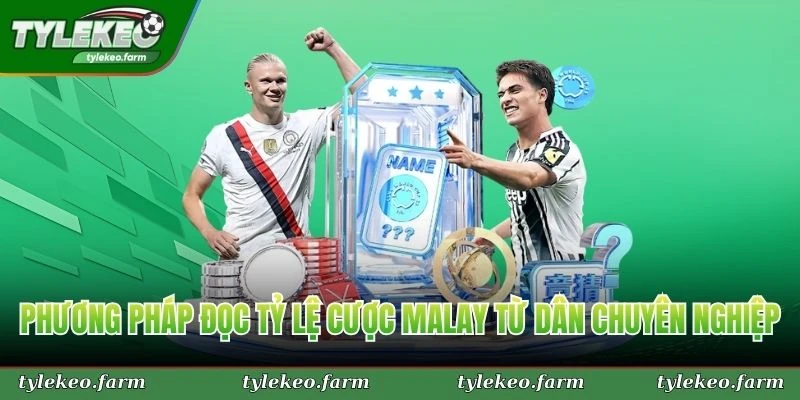 Phương pháp đọc tỷ lệ cược malay từ dân chuyên nghiệp