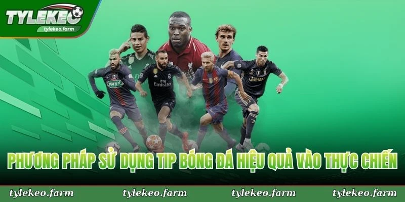 Phương pháp sử dụng tip bóng đá hiệu quả vào thực chiến