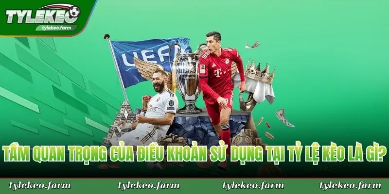 Tầm quan trọng của điều khoản sử dụng tại Tỷ Lệ Kèo là gì?