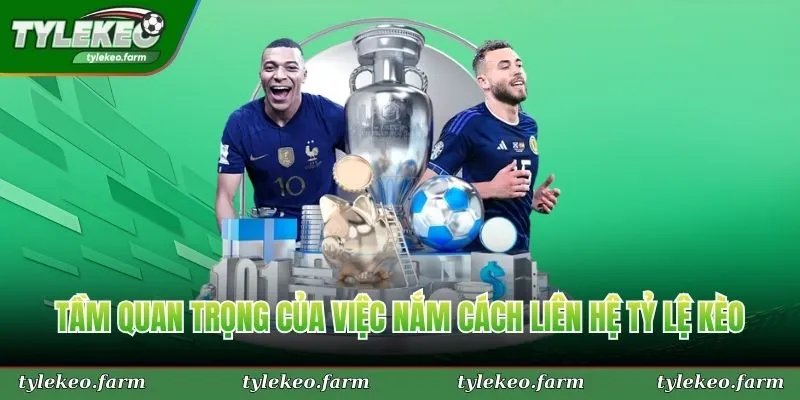 Tầm quan trọng của việc nắm cách liên hệ Tỷ Lệ Kèo