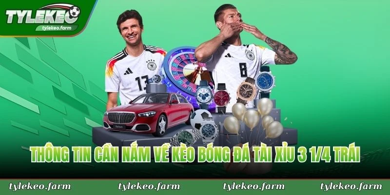 Thông tin cần nắm về kèo bóng đá tài xỉu 3 1/4 trái