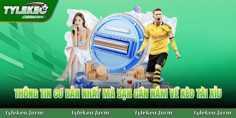 Thông tin cơ bản nhất mà bạn cần nắm về kèo tài xỉu