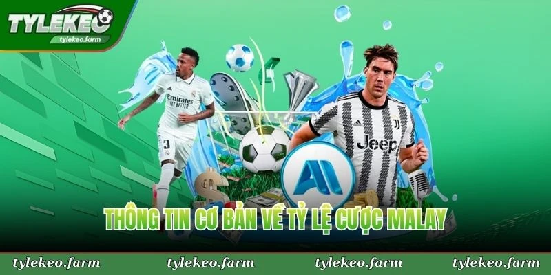 Thông tin cơ bản về tỷ lệ cược malay