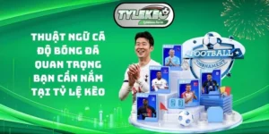 thuật ngữ cá độ bóng đá