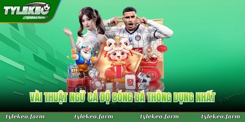 Vài thuật ngữ cá độ bóng đá thông dụng nhất mà tân thủ nên nắm